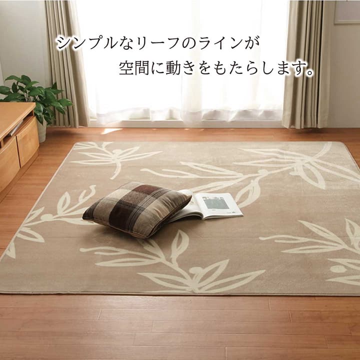 ノーム