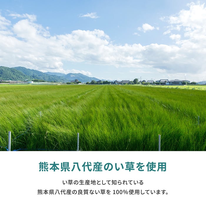 い草 上敷き 天草